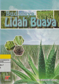 Image of Budidaya LIDAH BUAYA