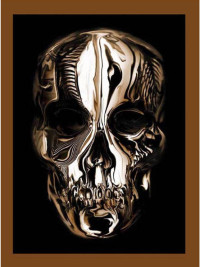 Image of ALEXANDER McQUEEN : SAVAGE BEAUTY
