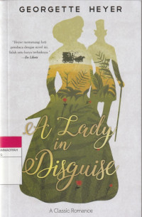 Image of A Lady in Disguise